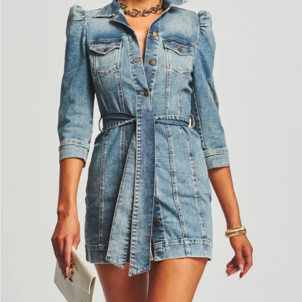 Retrofete Denim Belted Mini Dress